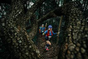 BIB: 
                            <button type="button" onclick="openModal(25685542)" class="btn btn-primary btn-sm float-right btn-popup" data-toggle="modal" data-target=".modal-high-quality">
                        <i class="fas fa-shopping-cart"></i> Add to Cart
                    </button>
                                            <button type="button" onclick="isThisMe(25685542, true)" class="btn btn-success btn-sm float-right btn-popup btn-isme hidden" data-toggle="tooltip" data-placement="bottom" title="นี่คือรูปของคุณใช่ไหม คลิกที่นี่เพื่อเอาเข้าอัลบั้ม">
                        <i class="fas fa-plus"></i> Add to album
                    </button>
                    <button type="button" onclick="isThisMe(25685542, false)" class="btn btn-warning btn-sm float-right btn-popup btn-isnotme hidden">
                        <i class="fas fa-ban"></i> Remove from album
                    </button>